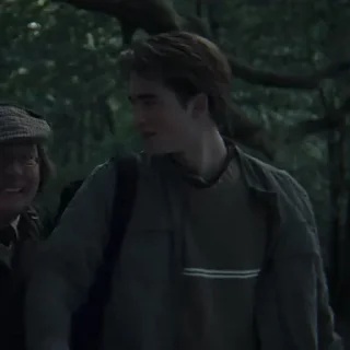 Стикер ✧ˎˊ Cedric Diggory • @Leviosaasticker - 9