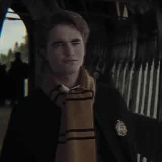 Стикер ✧ˎˊ Cedric Diggory • @Leviosaasticker - 2