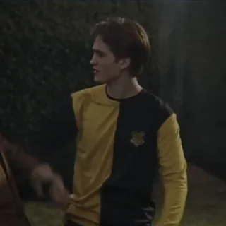 Стикер ✧ˎˊ Cedric Diggory • @Leviosaasticker - 8
