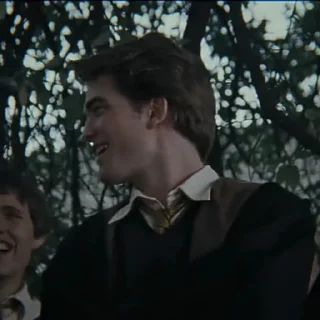 Стикер ✧ˎˊ Cedric Diggory • @Leviosaasticker - 0