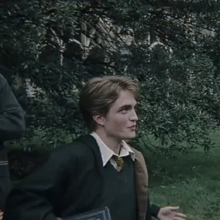 Стикер ✧ˎˊ Cedric Diggory • @Leviosaasticker - 10