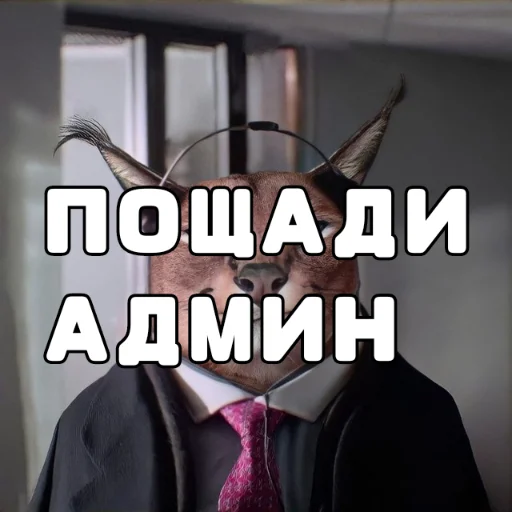 Стикер Cerfchat - 1