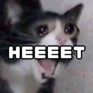 Sticker Серфчат:@m1kees - 9