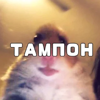 Sticker Серфчат:@m1kees - 7