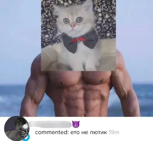 Sticker CfRKLU_by_stickers_stealer_bot - 1