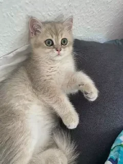 &#x421;&#x442;&#x438;&#x43A;&#x435;&#x440; &#x411;&#x43E;&#x43B;&#x44C;&#x448;&#x435; &#x441;&#x442;&#x438;&#x43A;&#x435;&#x440;&#x43E;&#x432; &#x442;&#x443;&#x442;: @allstickers_tg - 3