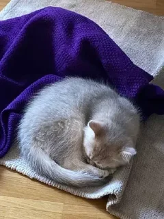 &#x421;&#x442;&#x438;&#x43A;&#x435;&#x440; &#x411;&#x43E;&#x43B;&#x44C;&#x448;&#x435; &#x441;&#x442;&#x438;&#x43A;&#x435;&#x440;&#x43E;&#x432; &#x442;&#x443;&#x442;: @allstickers_tg - 7