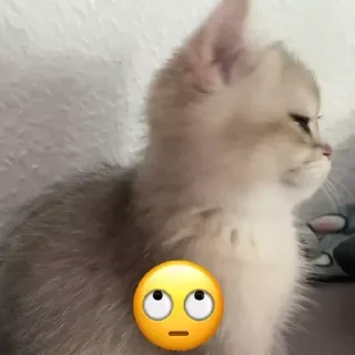 &#x421;&#x442;&#x438;&#x43A;&#x435;&#x440; &#x411;&#x43E;&#x43B;&#x44C;&#x448;&#x435; &#x441;&#x442;&#x438;&#x43A;&#x435;&#x440;&#x43E;&#x432; &#x442;&#x443;&#x442;: @allstickers_tg - 8