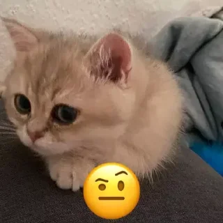 &#x421;&#x442;&#x438;&#x43A;&#x435;&#x440; &#x411;&#x43E;&#x43B;&#x44C;&#x448;&#x435; &#x441;&#x442;&#x438;&#x43A;&#x435;&#x440;&#x43E;&#x432; &#x442;&#x443;&#x442;: @allstickers_tg - 4