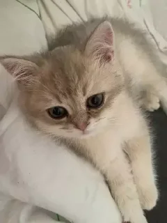 &#x421;&#x442;&#x438;&#x43A;&#x435;&#x440; &#x411;&#x43E;&#x43B;&#x44C;&#x448;&#x435; &#x441;&#x442;&#x438;&#x43A;&#x435;&#x440;&#x43E;&#x432; &#x442;&#x443;&#x442;: @allstickers_tg - 0