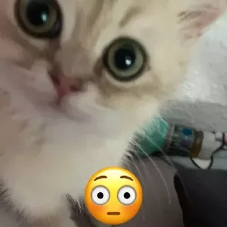 &#x421;&#x442;&#x438;&#x43A;&#x435;&#x440; &#x411;&#x43E;&#x43B;&#x44C;&#x448;&#x435; &#x441;&#x442;&#x438;&#x43A;&#x435;&#x440;&#x43E;&#x432; &#x442;&#x443;&#x442;: @allstickers_tg - 5