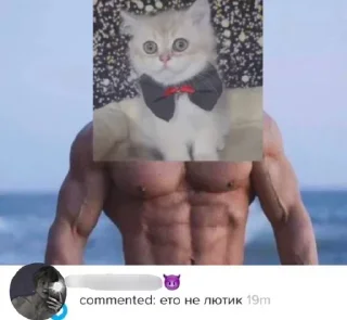 &#x421;&#x442;&#x438;&#x43A;&#x435;&#x440; &#x411;&#x43E;&#x43B;&#x44C;&#x448;&#x435; &#x441;&#x442;&#x438;&#x43A;&#x435;&#x440;&#x43E;&#x432; &#x442;&#x443;&#x442;: @allstickers_tg - 2