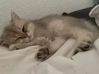 &#x421;&#x442;&#x438;&#x43A;&#x435;&#x440; &#x411;&#x43E;&#x43B;&#x44C;&#x448;&#x435; &#x441;&#x442;&#x438;&#x43A;&#x435;&#x440;&#x43E;&#x432; &#x442;&#x443;&#x442;: @allstickers_tg - 11