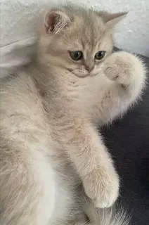 &#x421;&#x442;&#x438;&#x43A;&#x435;&#x440; &#x411;&#x43E;&#x43B;&#x44C;&#x448;&#x435; &#x441;&#x442;&#x438;&#x43A;&#x435;&#x440;&#x43E;&#x432; &#x442;&#x443;&#x442;: @allstickers_tg - 10