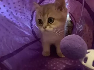 &#x421;&#x442;&#x438;&#x43A;&#x435;&#x440; &#x411;&#x43E;&#x43B;&#x44C;&#x448;&#x435; &#x441;&#x442;&#x438;&#x43A;&#x435;&#x440;&#x43E;&#x432; &#x442;&#x443;&#x442;: @allstickers_tg - 1