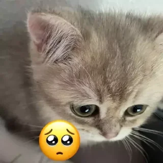 &#x421;&#x442;&#x438;&#x43A;&#x435;&#x440; &#x411;&#x43E;&#x43B;&#x44C;&#x448;&#x435; &#x441;&#x442;&#x438;&#x43A;&#x435;&#x440;&#x43E;&#x432; &#x442;&#x443;&#x442;: @allstickers_tg - 9