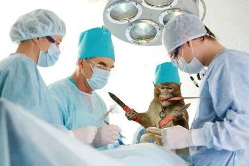 medical equipment medical healthcare