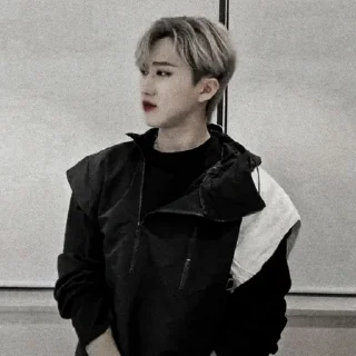 Sticker SEO CHANGBIN SKZ 💣┼ @FVCK00PRIDE - 8