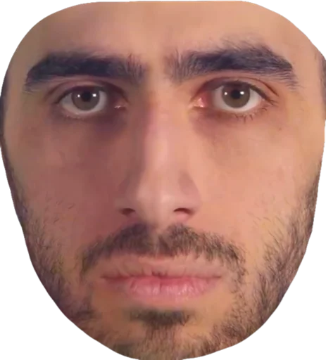 человеческое лицо лоб бровь