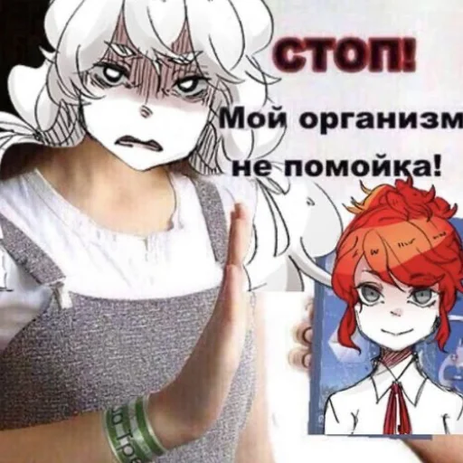 Мемы по Шарлотте мой смысл жизни - 