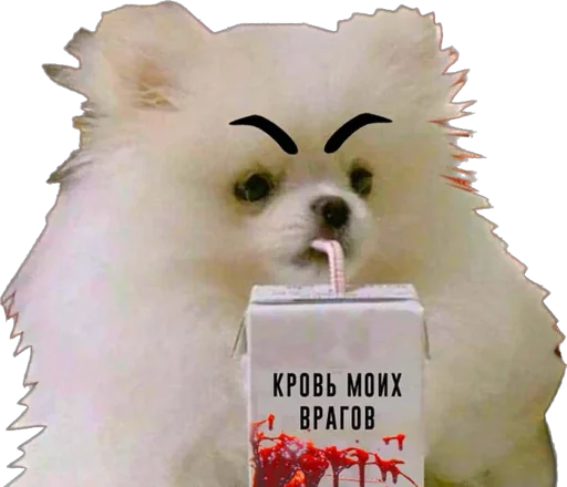 Чат адского кутежа Saloboy - 