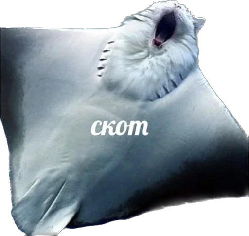 Sticker ChatSalo - 1