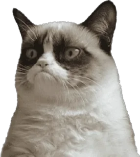 Sticker Чат адского кутежа Saloboy - 11