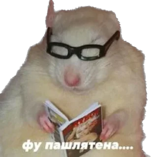 Sticker Чат адского кутежа Saloboy - 0