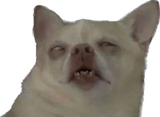 Sticker Чат адского кутежа Saloboy - 8