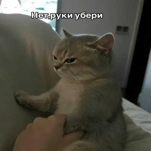 @chatt23 - НАШ ЧАТ - 