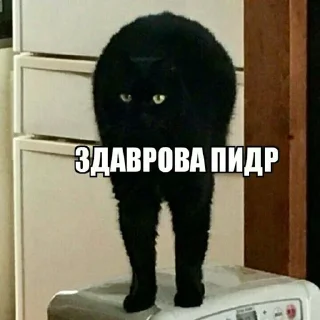 Sticker @chatt23 - НАШ ЧАТ - 9