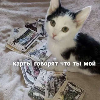 Sticker @chatt23 - НАШ ЧАТ - 10