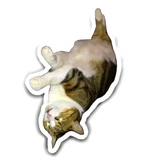 Стикер Che9999 - 1