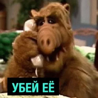 Sticker Che tu? by @offstikbot - 9