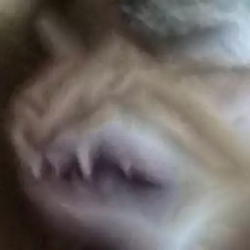 Размыто смазывать искусство