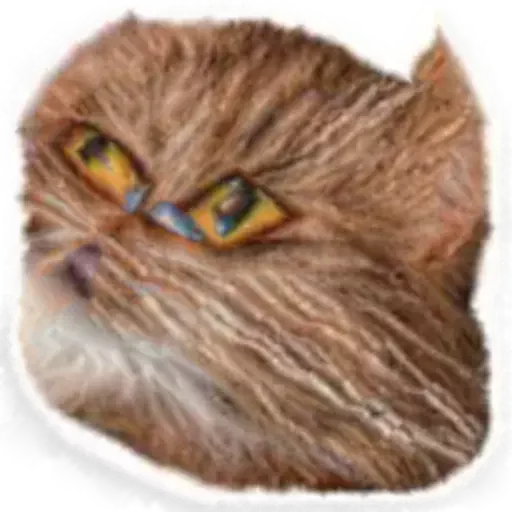 кошка животное домашняя кошка