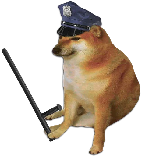 домашнее животное животное млекопитающее