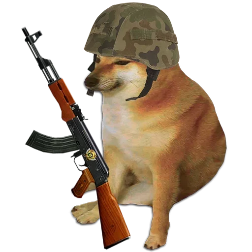 животное оружие собака