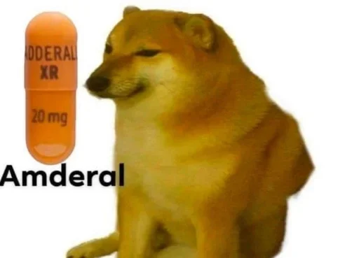 млекопитающее порода собак домашнее животное