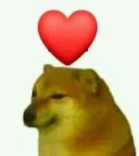 собака животное