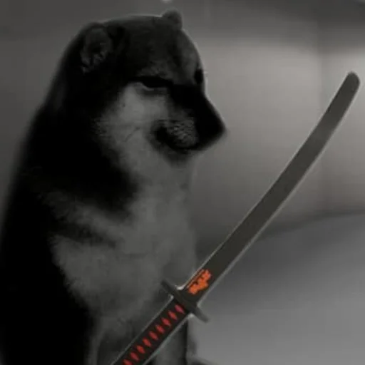 weapon animal indoor