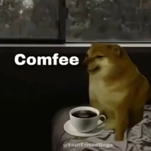 dog coffee cup text