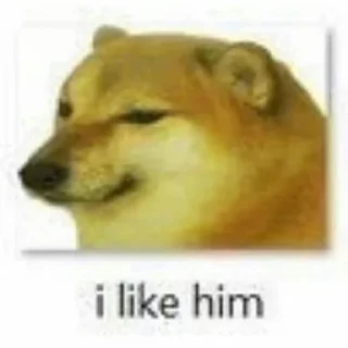 Cheemsburbger's Redemption - собака