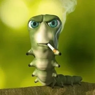 Sticker Че 🤨 - 10