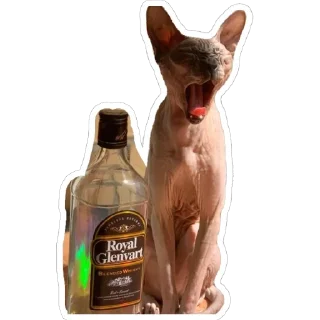 Sticker Чат-помощи - 10