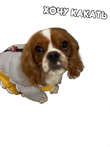 Sticker ChertilaVG - 1