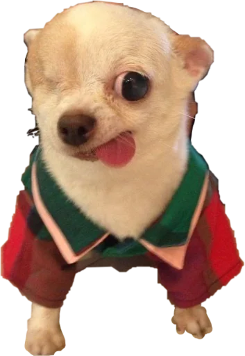 Sticker ChertilaVG - 1