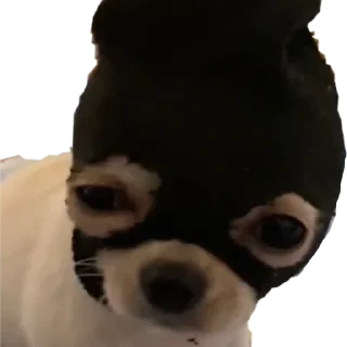 Стикер Чертила - 3