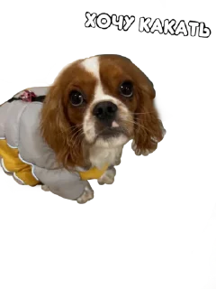 Стикер Чертила - 10