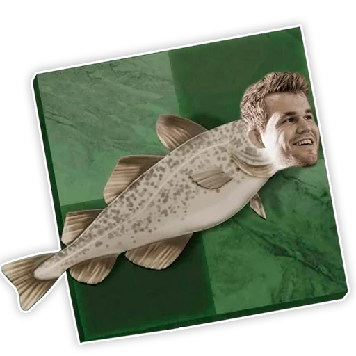 Sticker ChessMasterOmariev - 1